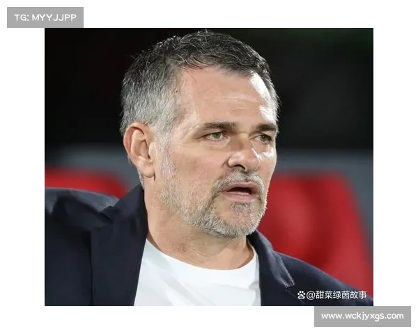 土耳其对格鲁吉亚比赛策略分析及其背后战术思考